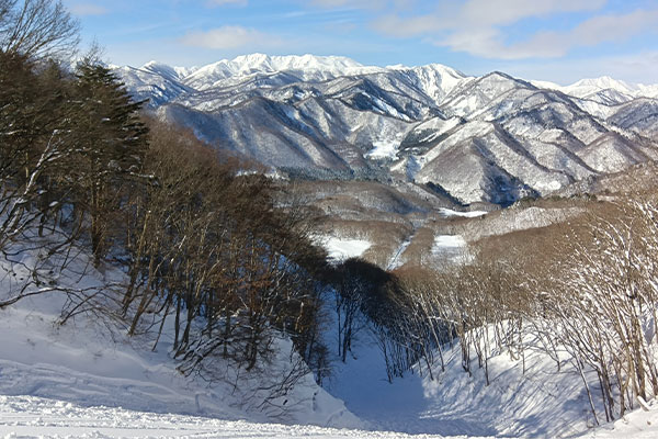 全面滑走開始!絶景と最高の雪質を楽しもう♪