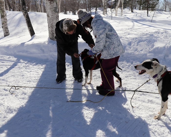 7.　犬ぞりラインにつなぐのもやってみよう！