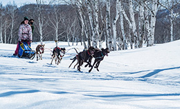 犬ぞり体験｜ スノーアクティビティ｜水上高原スキーリゾート＜公式