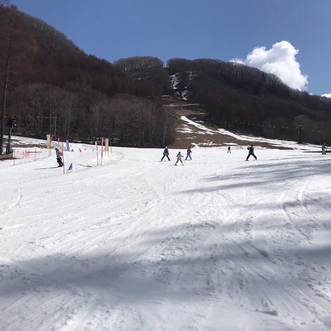 ふわっと優しい雪が春のゲレンデに舞い降りました❄️