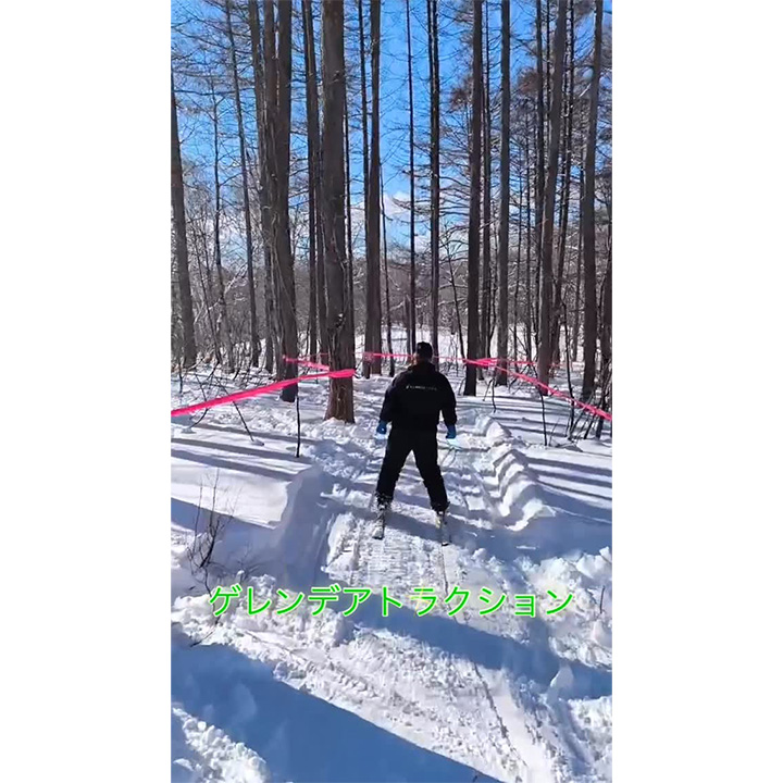 森の探検〜カラマツ〜
