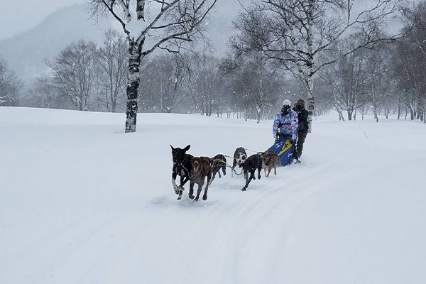 女性芸人が人生で初めての犬ぞりに挑戦