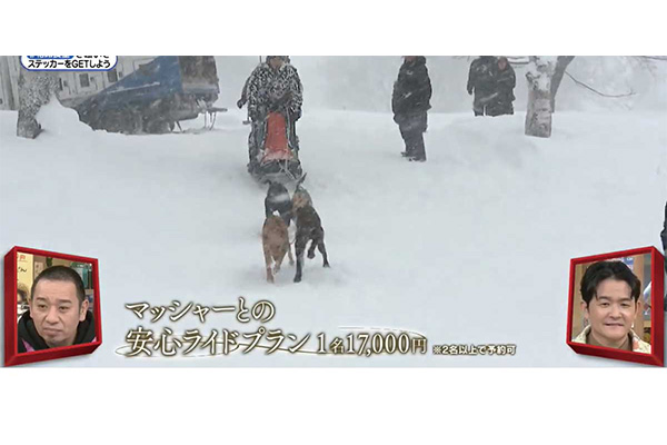 ドッグスポーツ世界チャンピオンに遭遇