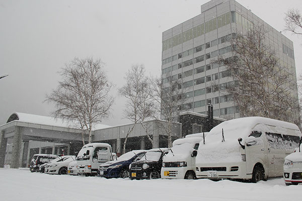 OPENまであと1週間!寒波到来で雪雪雪♪