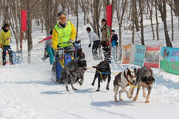 犬ぞり大会・スノークイーン来場等