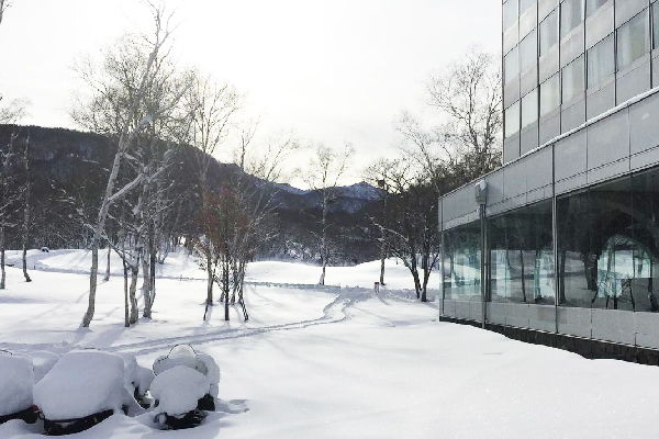 前日からの降雪により、辺り一面がきれいな雪に包まれました♪