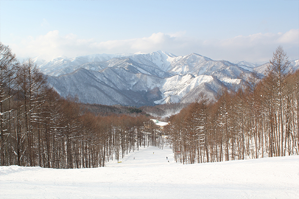 降雪量日本一!明日のOPEN前に恵みの雪